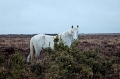 South-West England